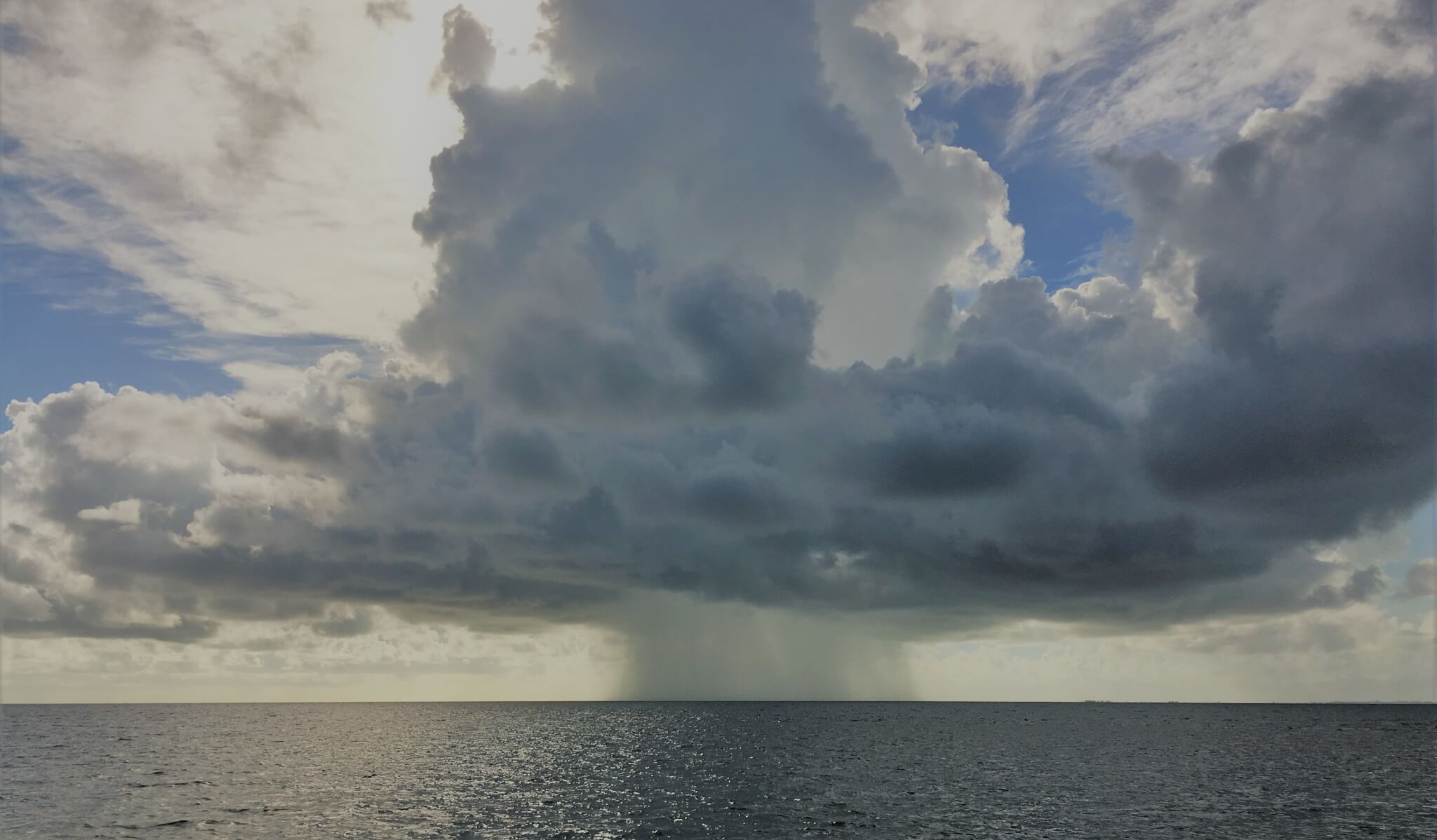 The storm and how clients stay calm when investing.